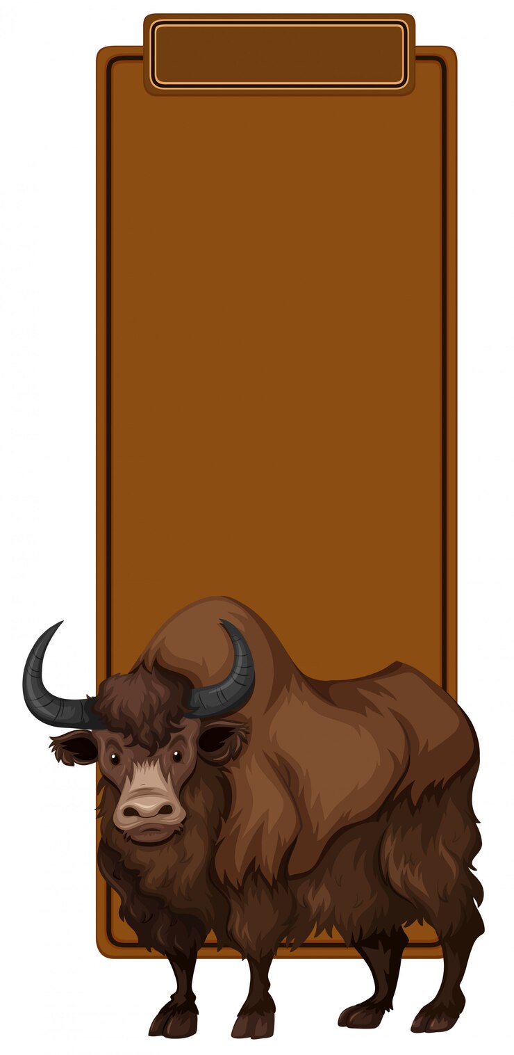 Vector Gratis a yak on blank template