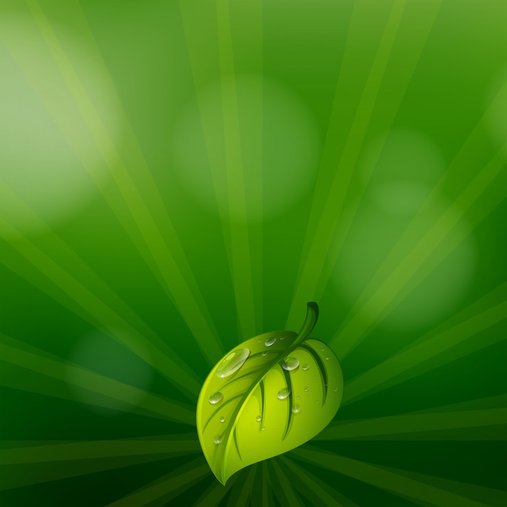 Vector Gratis alat tulis berwarna hijau dengan daun