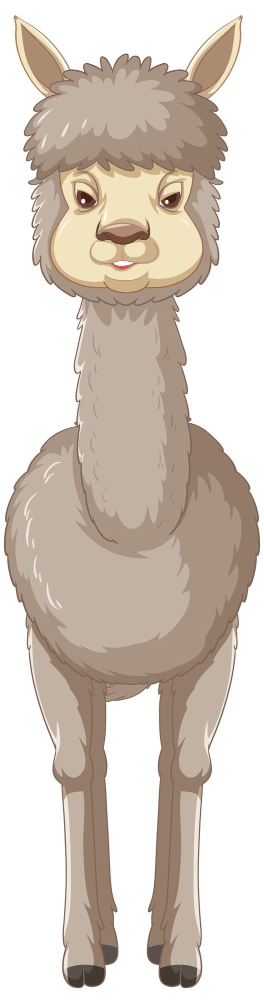 Vector Gratis alpaca dengan latar belakang putih