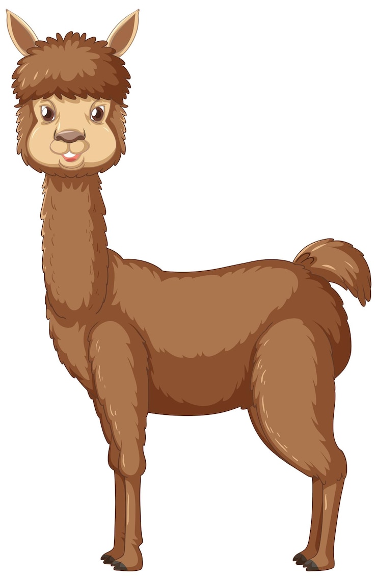 Vector Gratis alpaca dengan latar belakang putih