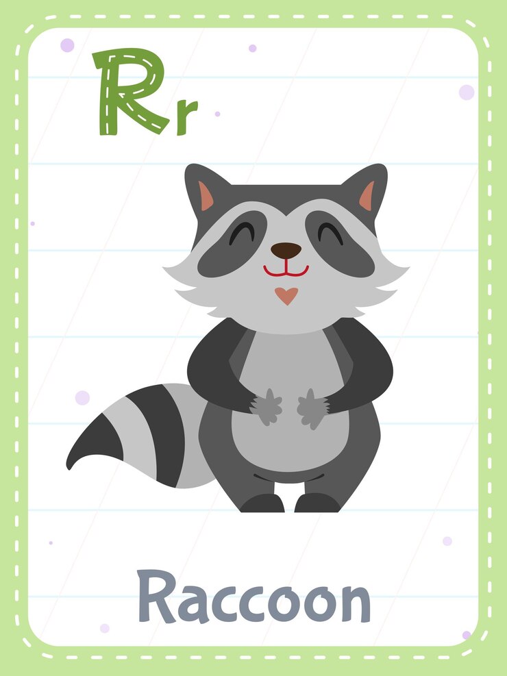 Vector Gratis alphabet printable flashcard with letter r and raccoon animal