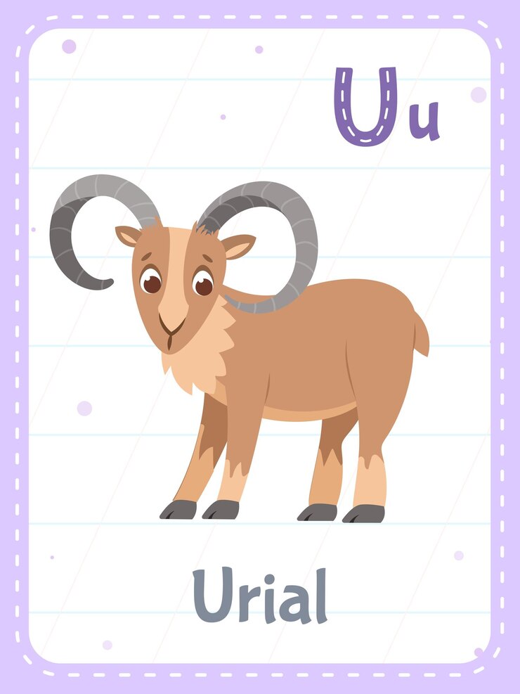 Vector Gratis alphabet printable flashcard with letter u and urial animal