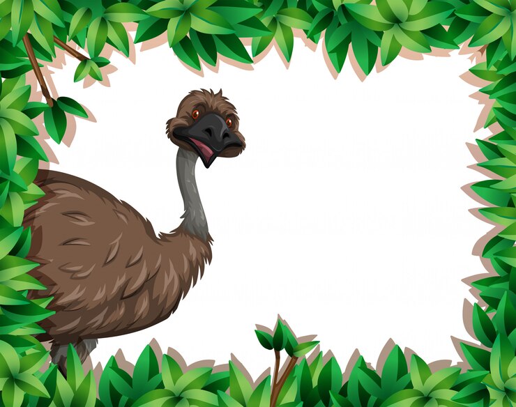 Vector Gratis an emu in nature frame