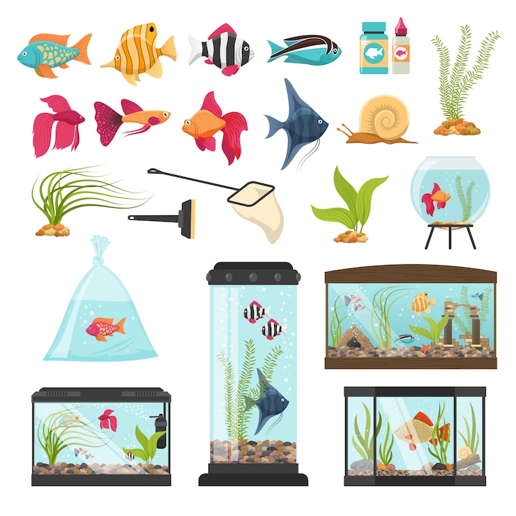 Vector Gratis aquarium essential elements collection