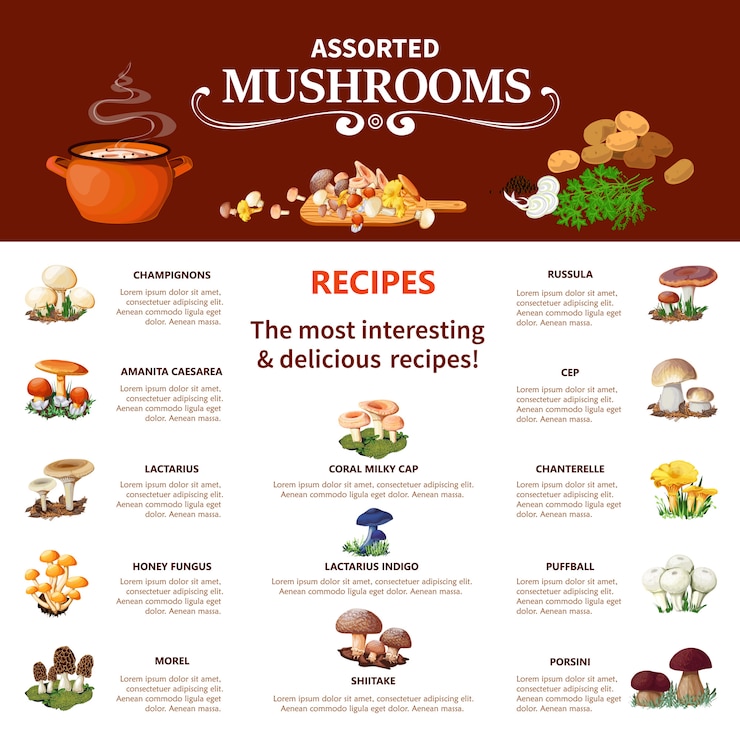 Vector Gratis assorted  mushrooms infographics