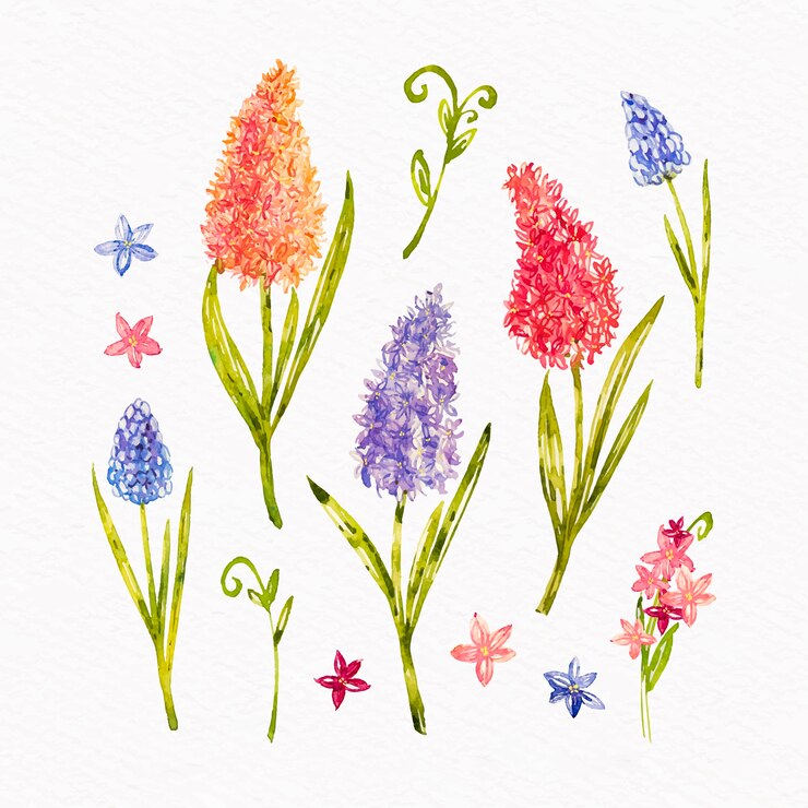 Vector Gratis assortment of spring flower collection in watercolor