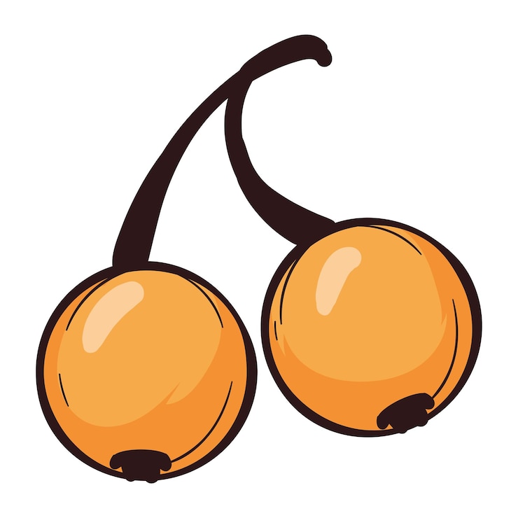 Vector Gratis autumn nature fruits isolated illustration