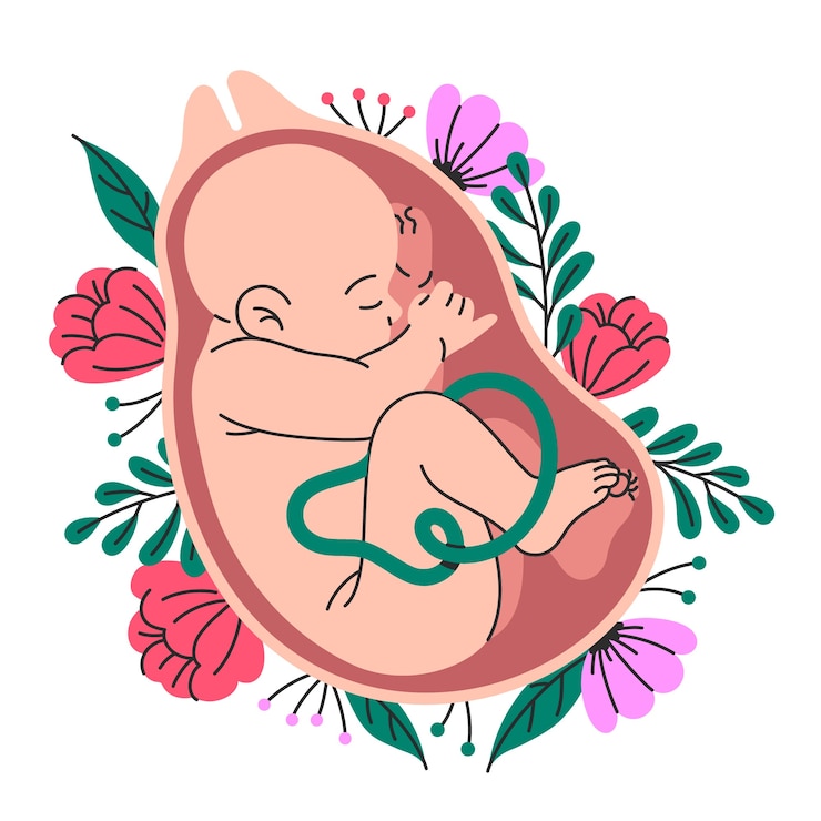 Vector Gratis baby birth concept illustration