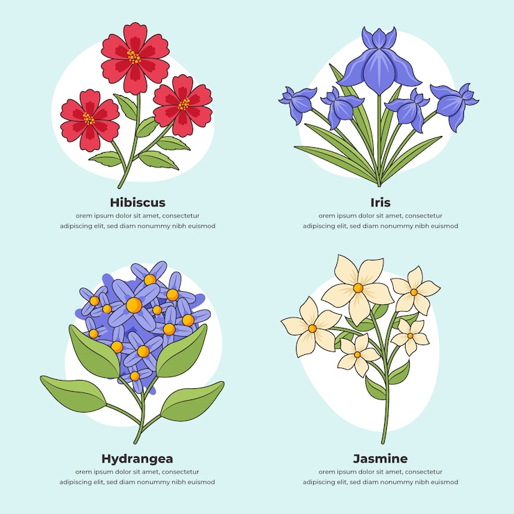 Vector Gratis bagan bunga botani digambar tangan