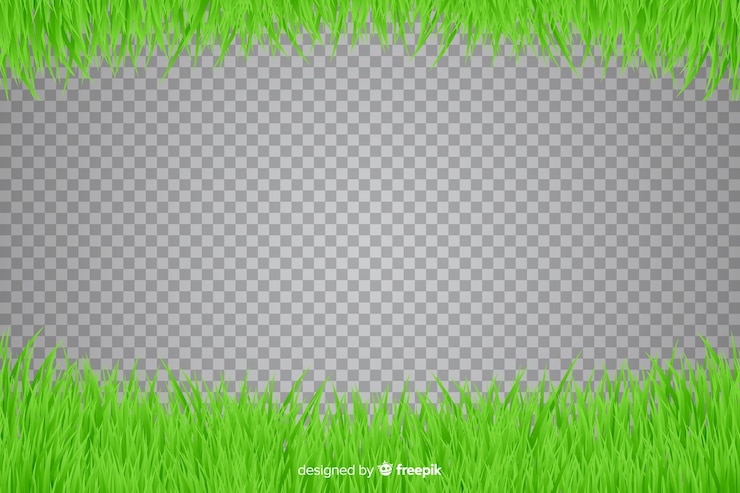 Vector Gratis batas rumput gaya realistis