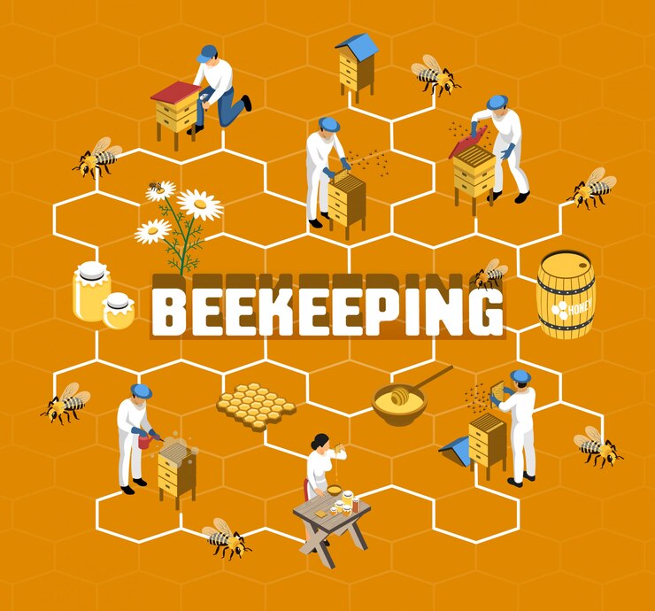 Vector Gratis beekeeping isometric flowchart with farmers in protective clothing during honey production on orange  