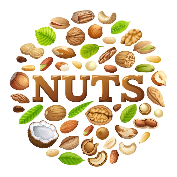 Vector Gratis bentuk lingkaran kacang terisolasi