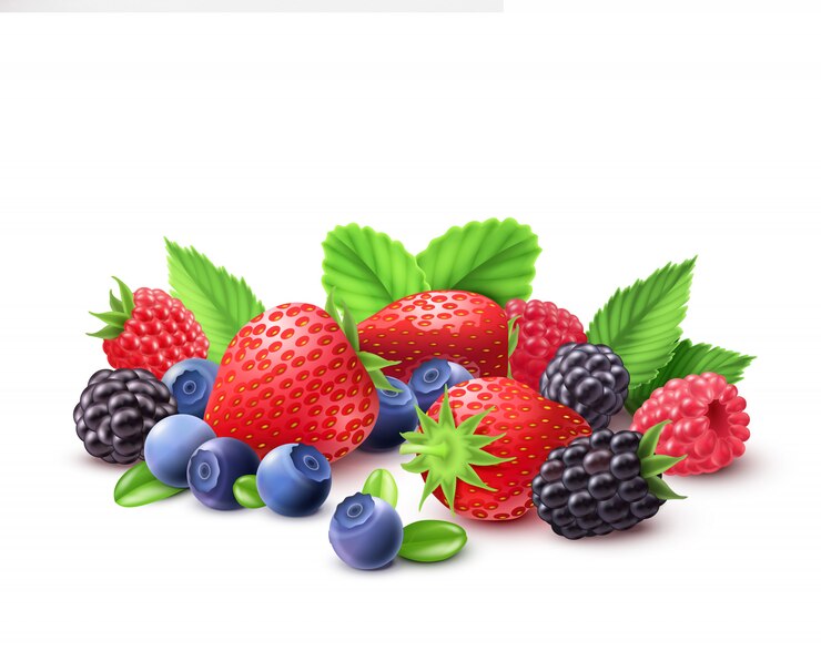 Vector Gratis  berries realistic composition 