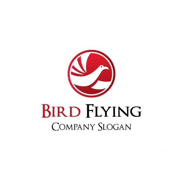Vector Gratis bird flying logo