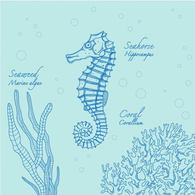 Vector Gratis blue seahorse design