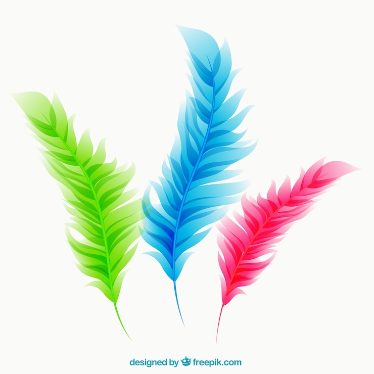 Vector Gratis bulu berwarna-warni