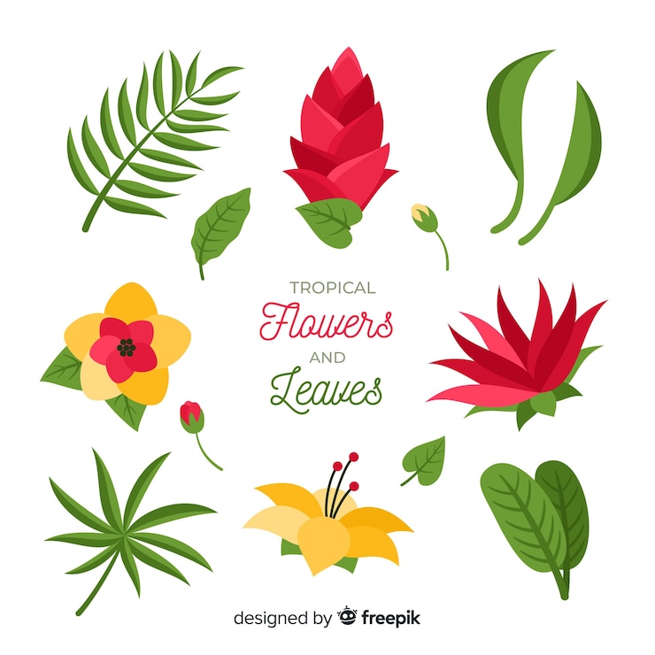Vector Gratis bunga dan daun tropis datar