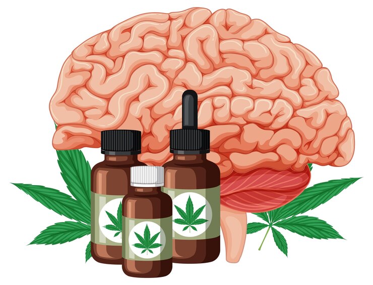 Vector Gratis cannabis medicine and human brain