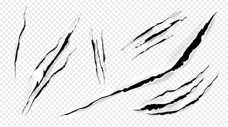 Vector Gratis cat marks, claws scratches isolated vector pets or wild animal nails rip, tiger or bear paws sherds . lion, monster or beast break, , realistic 3d traces set