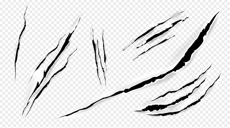 Vector Gratis cat marks, claws scratches isolated vector pets or wild animal nails rip, tiger or bear paws sherds . lion, monster or beast break, , realistic 3d traces set
