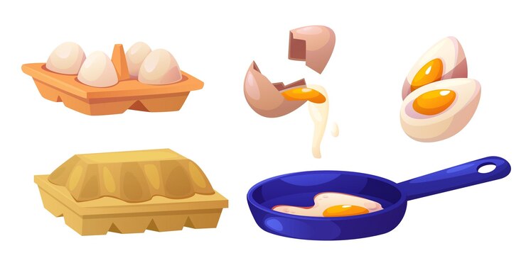 Vector Gratis chicken egg in carton box and cooking