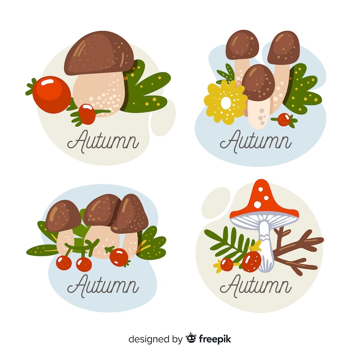 Vector Gratis collection of autumn labels flat design