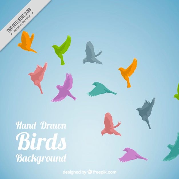 Vector Gratis colored birds flying background