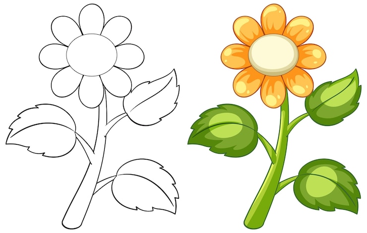 Vector Gratis colorful flower and outline vector illustration