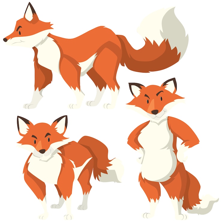 Vector Gratis coloured foxes collection