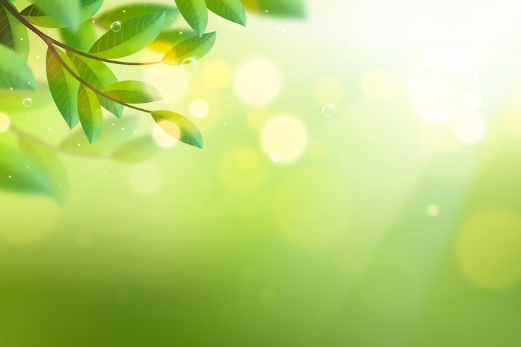Vector Gratis copy space bokeh spring lights background