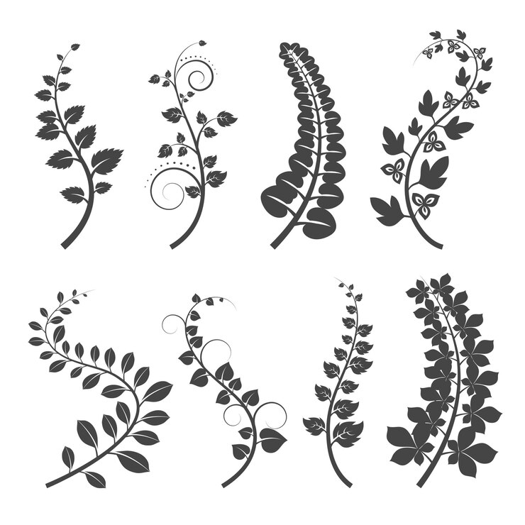 Vector Gratis curly branches with leaves silhouettes on white background. plant branch with leaves.  illustration