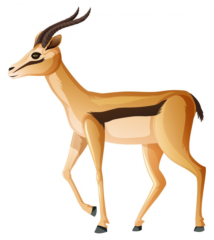 Vector Gratis cute anelope standing on white