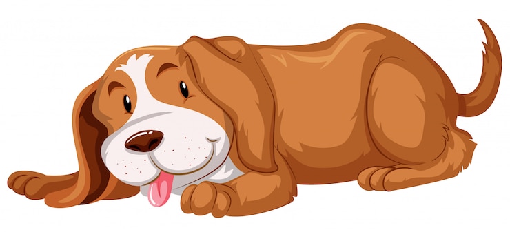 Vector Gratis cute dog with brown fur