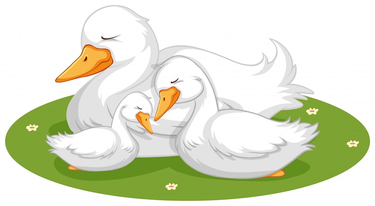 Vector Gratis cute duck sleeping on grass
