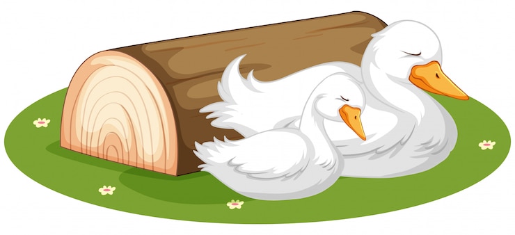Vector Gratis cute duck sleeping on grass