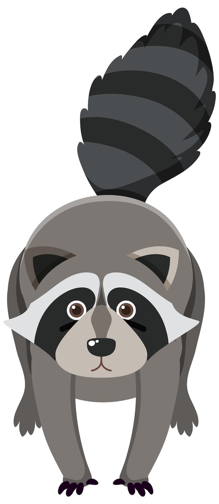 Vector Gratis cute raccoon in flat cartoon style