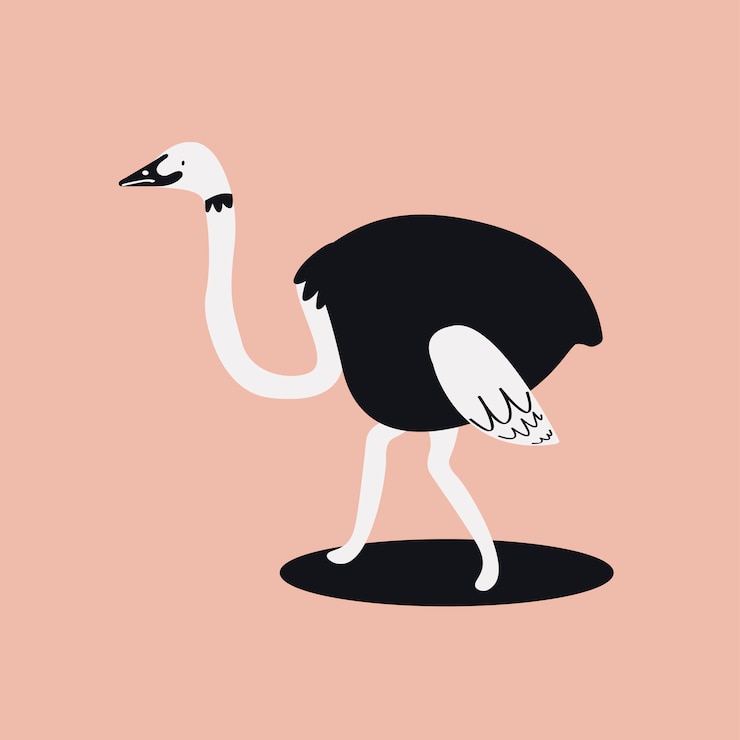 Vector Gratis cute wild common ostrich cartoon illustration