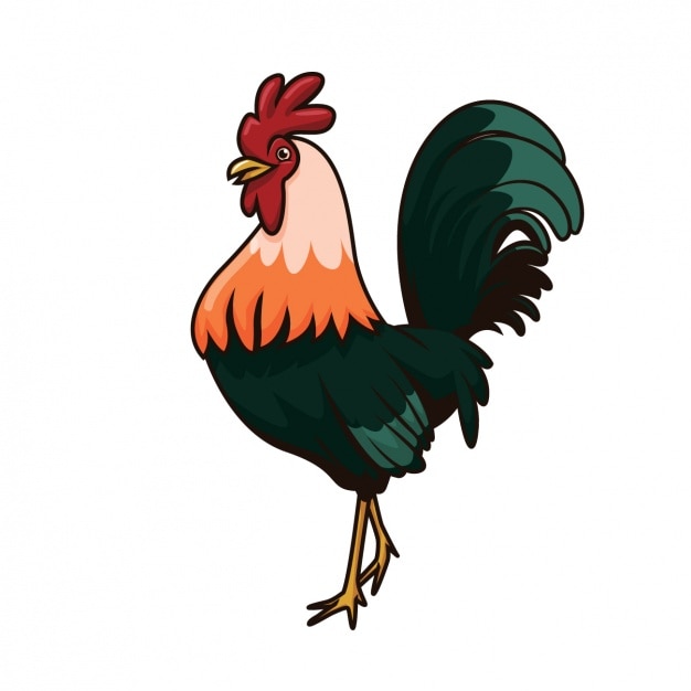 Vector Gratis desain ayam jantan yang digambar tangan