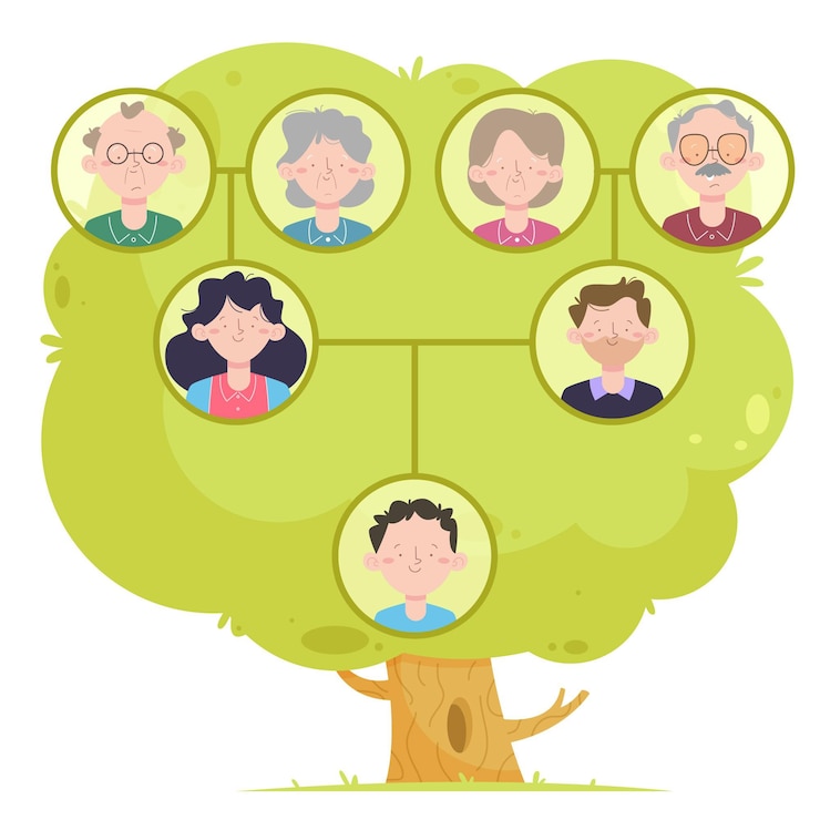Vector Gratis diagram pohon keluarga digambar tangan