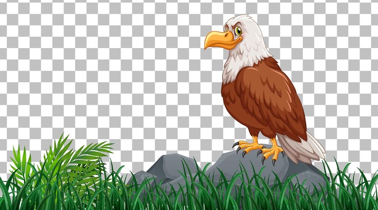 Vector Gratis eagle standing on stone in grass field on transparent background