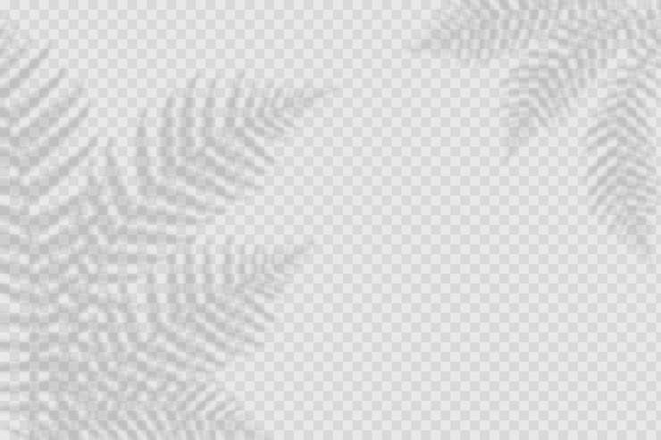 Vector Gratis efek overlay bayangan transparan