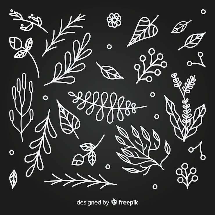 Vector Gratis elemen dekorasi bunga tanpa warna yang digambar tangan