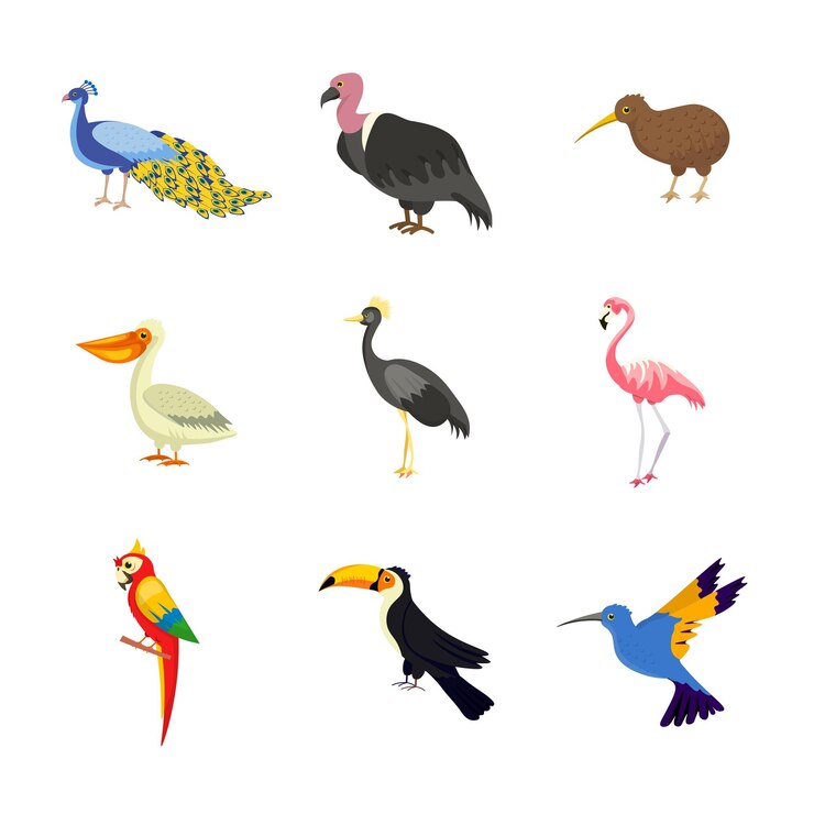 Vector Gratis exotic birds illustrations set african asian wild avian animals