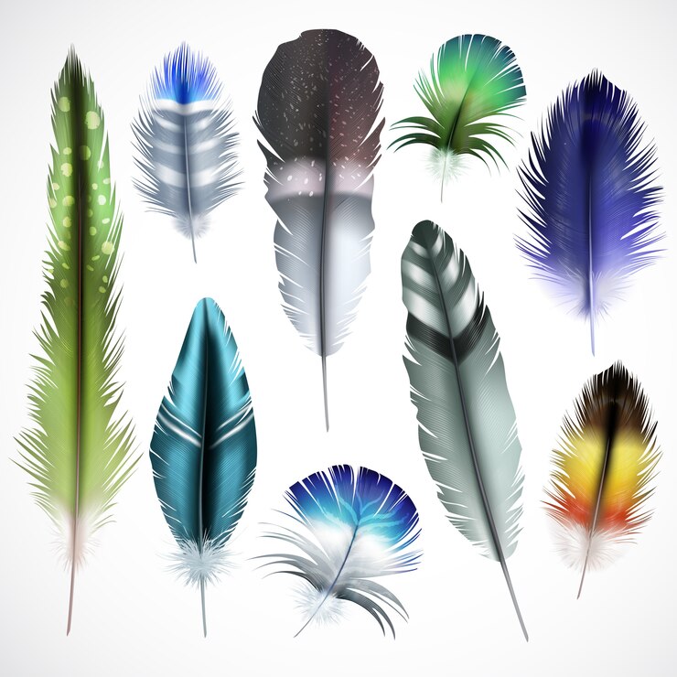 Vector Gratis exotic birds natural dyed spotted green purple shiny turquoise mix colored feathers realistic set isolated vector illustration