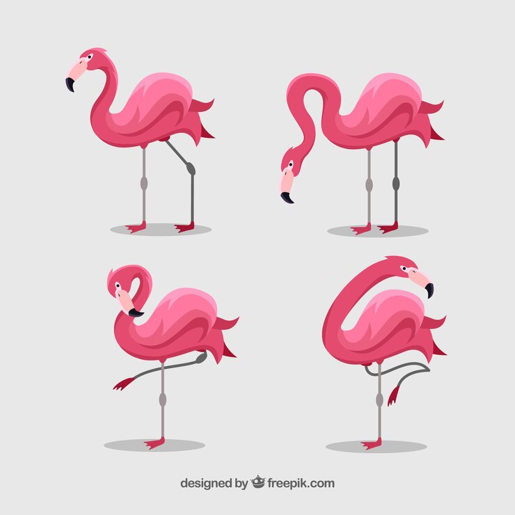 Vector Gratis flamingos collection with different postures in flat style