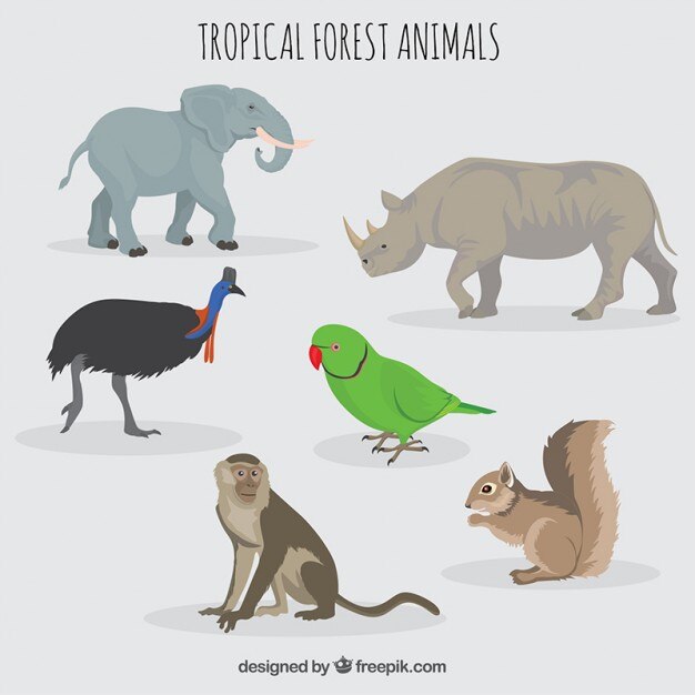 Vector Gratis forest and wild animals