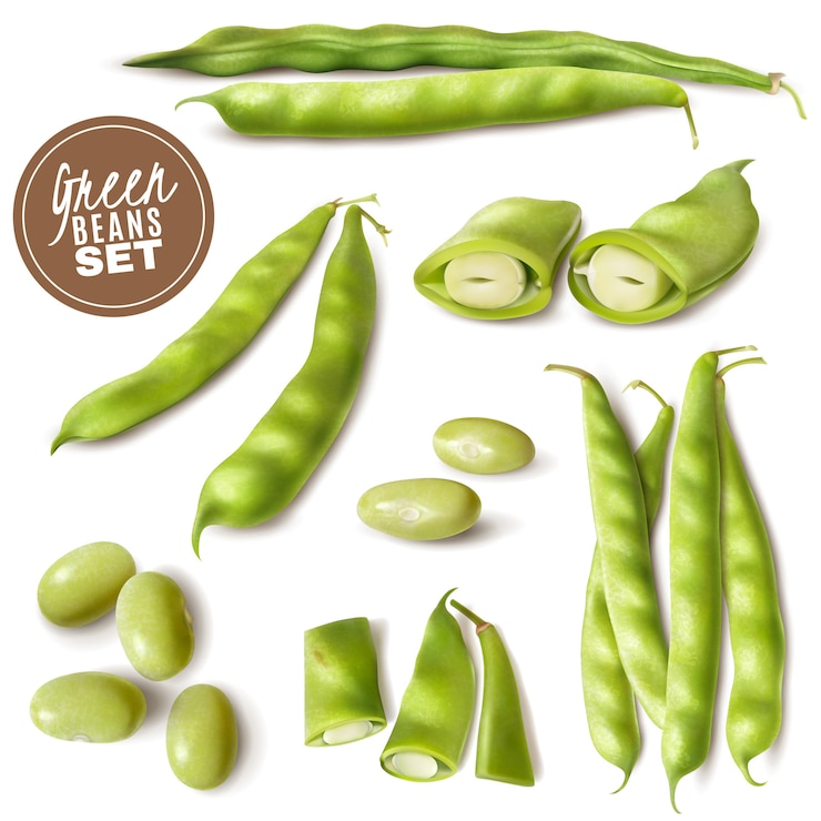 Vector Gratis fresh farmer market green beans realistic set with whole and cut pods ready to cook vector illustration
