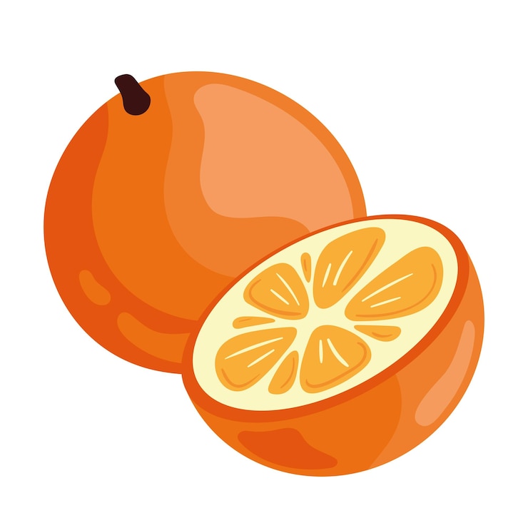 Vector Gratis fresh orange fruit healthy