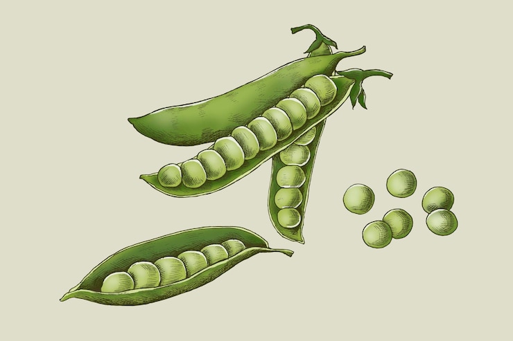Vector Gratis fresh organic green peas 