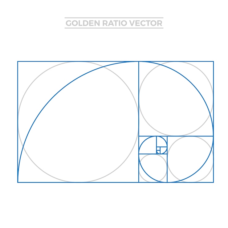 Vector Gratis golden ratio template